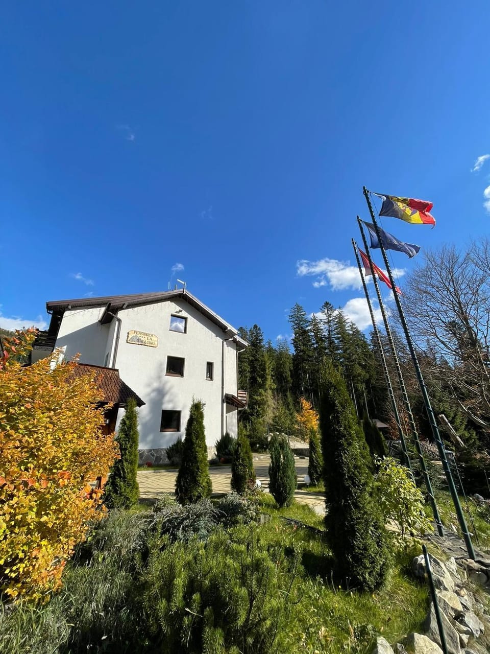 Property building, Day
