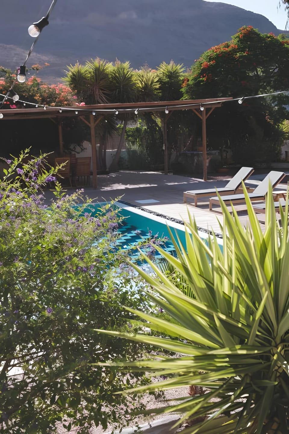 Property building, Living room, Swimming pool