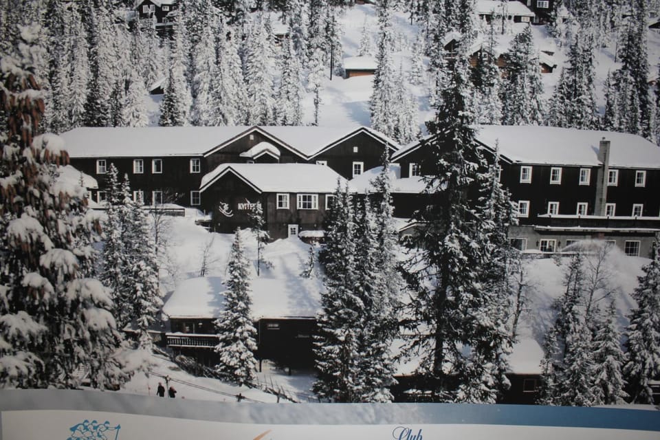 Kvitfjell Alpinhytter Kvitfjellvegen 492 Nature lodge in Innlandet