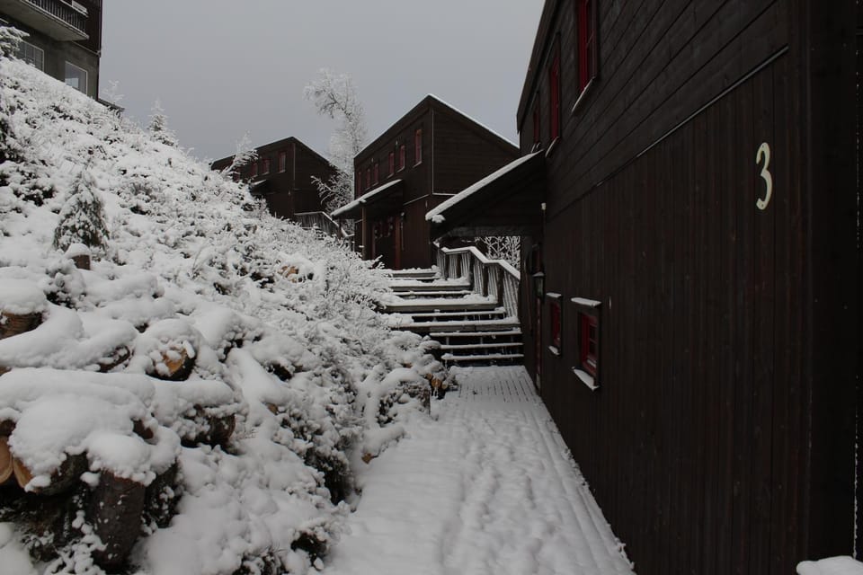 Neighbourhood, Winter