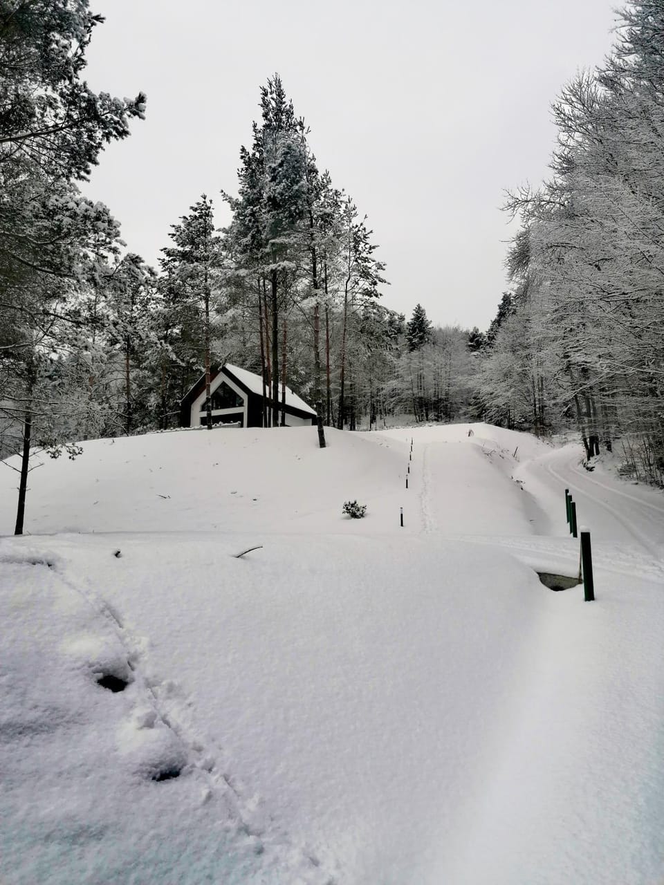 Natural landscape, Winter