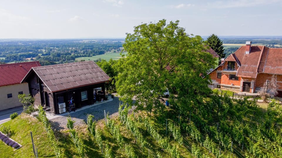 Apartma med vinogradi Apartment in Slovenia