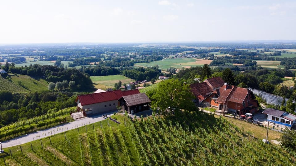 Apartma med vinogradi Apartment in Slovenia