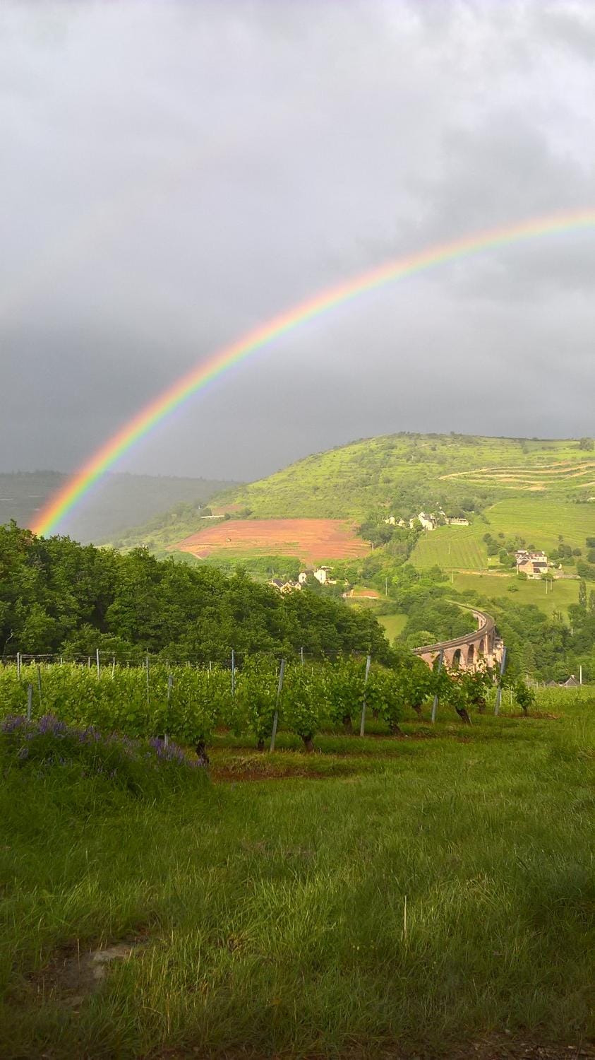 grange rénovée en pleine nature House in Occitanie