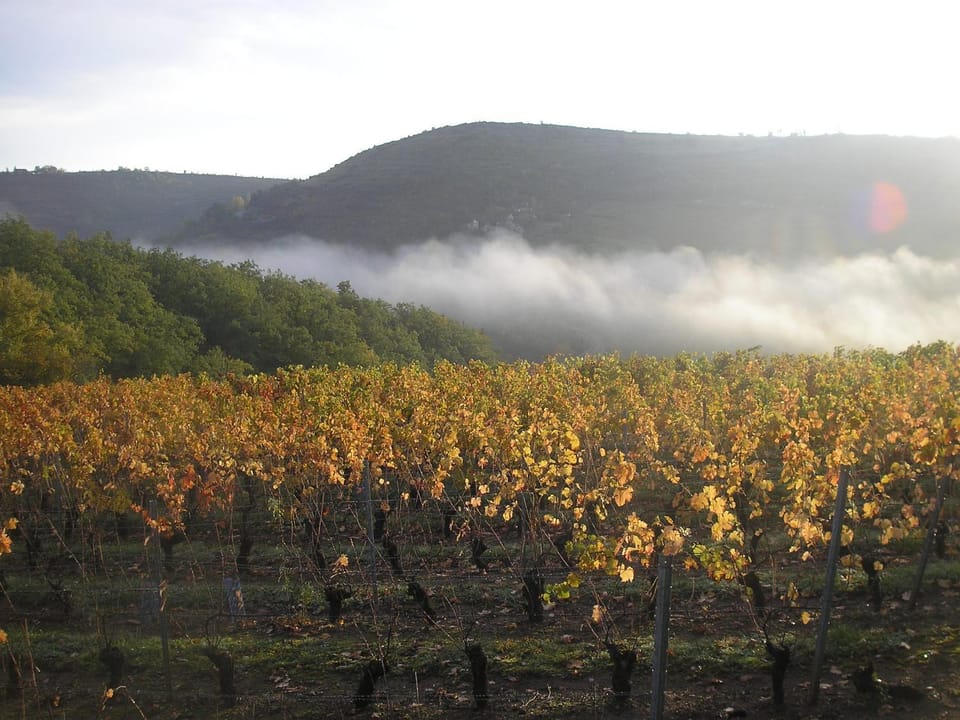 grange rénovée en pleine nature House in Occitanie