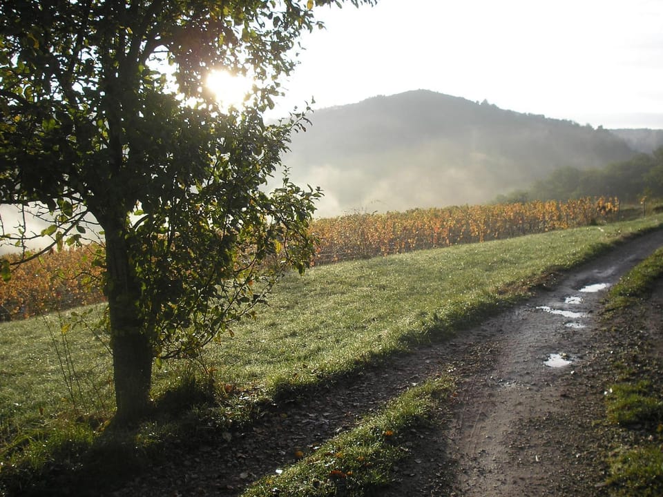 grange rénovée en pleine nature House in Occitanie