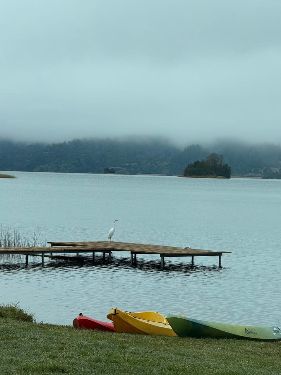 Nativo Lodges Nature lodge in Los Ríos, Chile