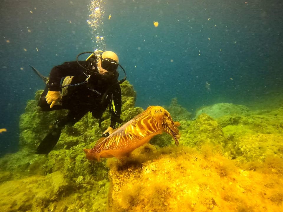 Diving