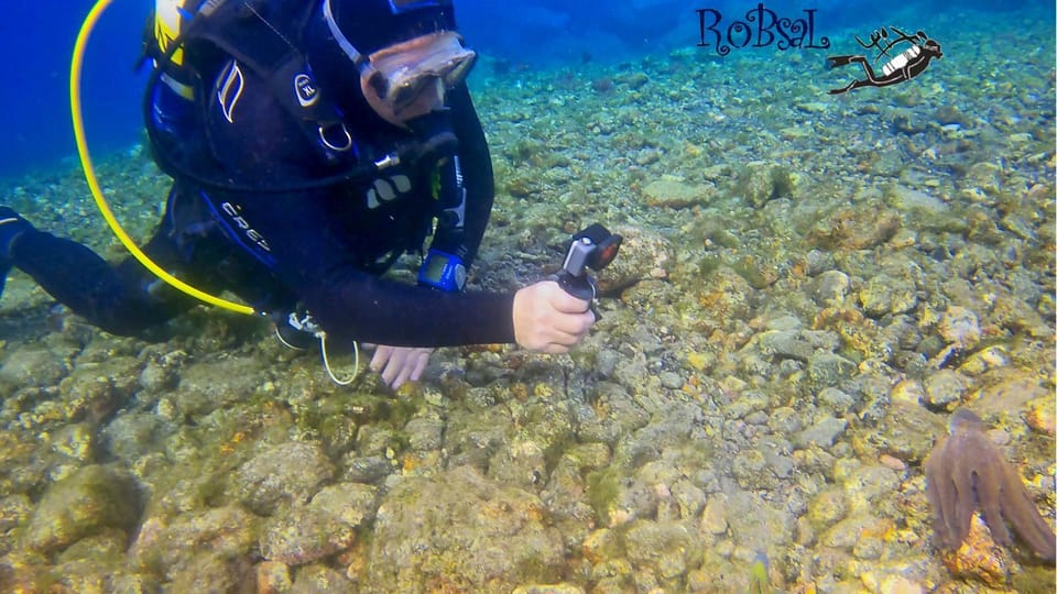 Diving