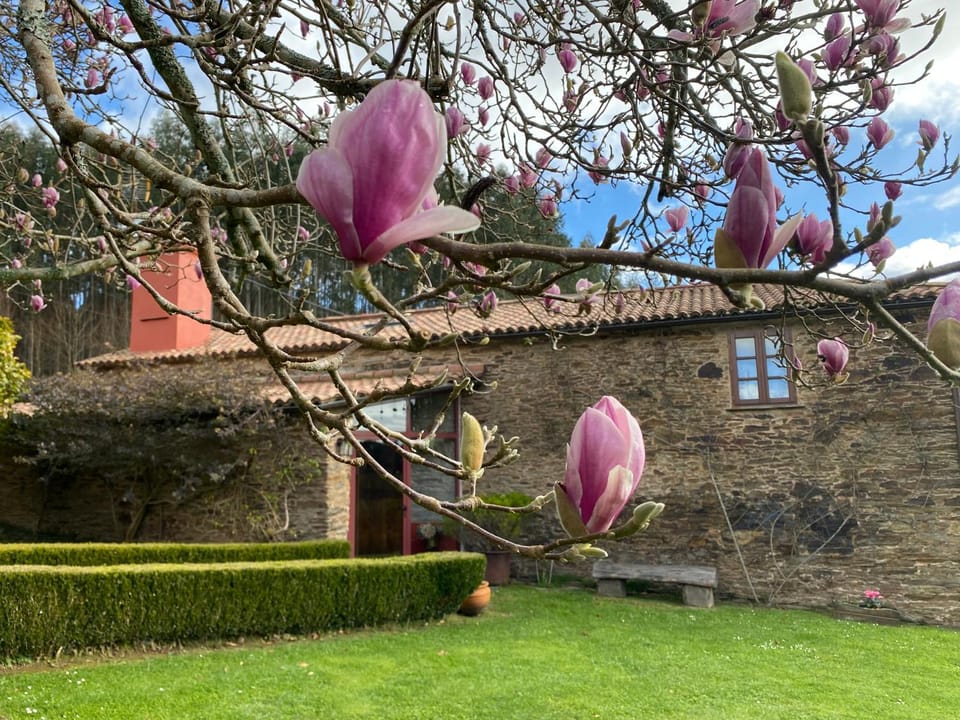 Spring, Garden, Garden view