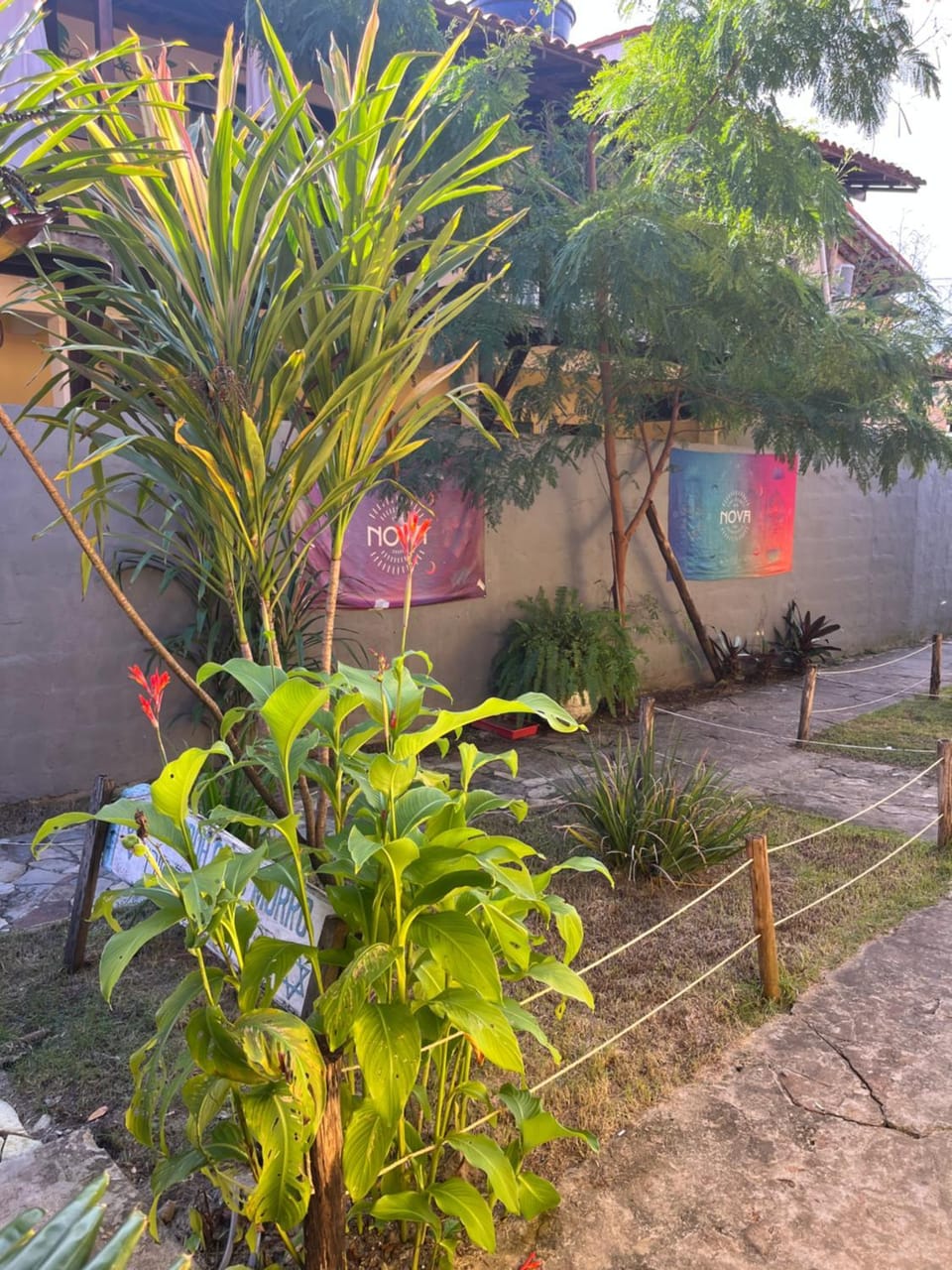Day, Garden, Garden view
