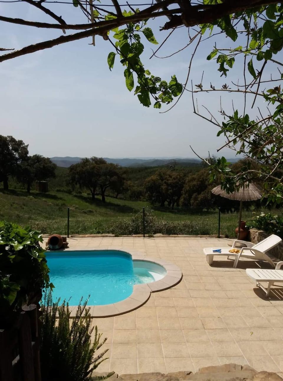 Monte Abaixo House in Faro District