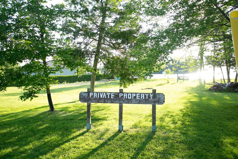 Fun Place with a Sandy Beach for Swimming, Boating & Fishing, Featuring 1 House and 3 Cabins Cabin in Kawartha Lakes