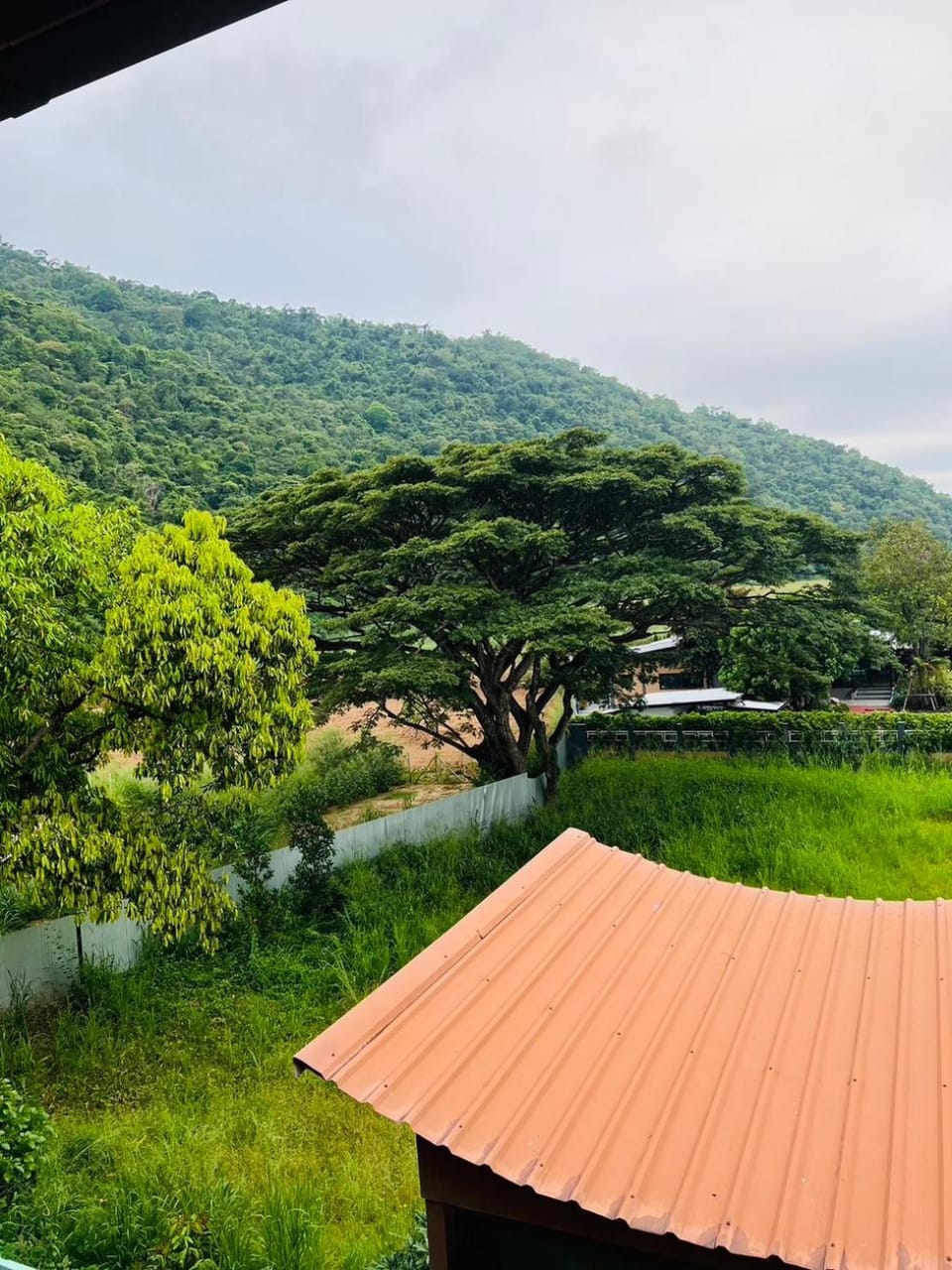 Natural landscape
