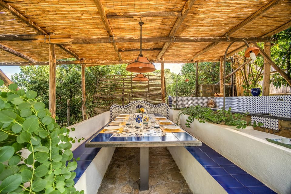 Patio, Garden, Dining area