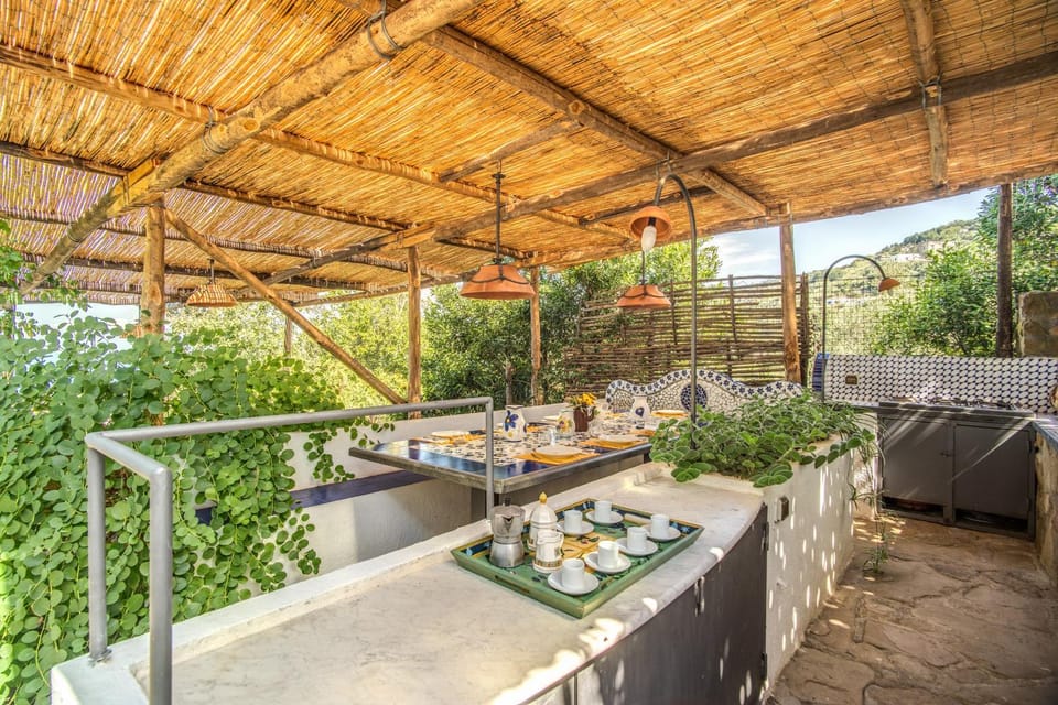 Patio, Garden, kitchen