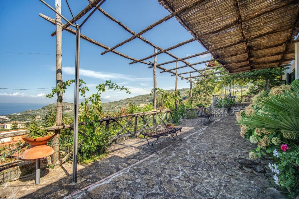 Natural landscape, Garden, Sea view