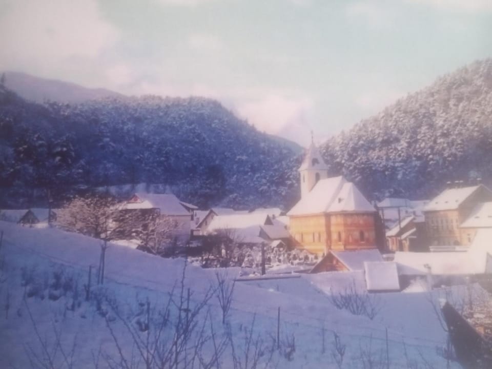 Pensiunea Casa Roman Bed and Breakfast in Romania