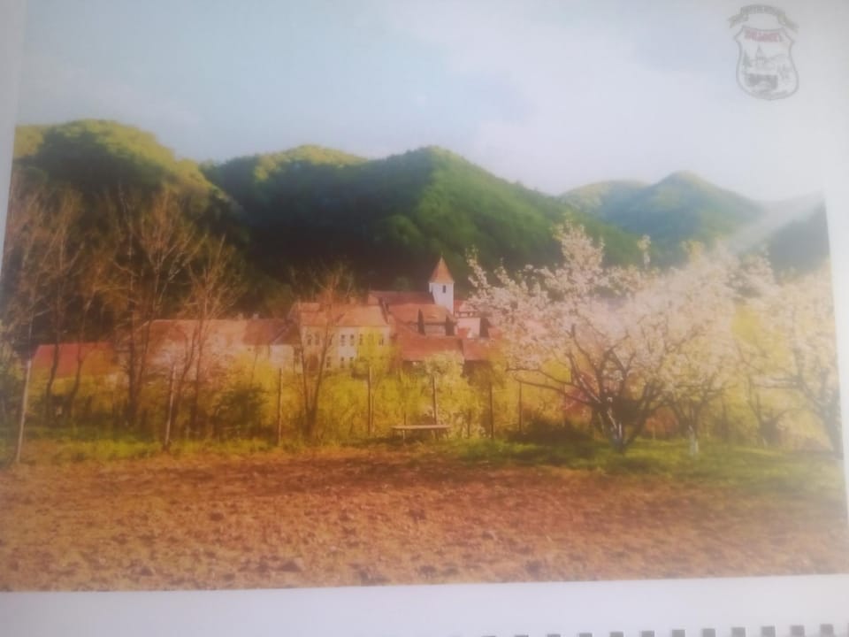 Pensiunea Casa Roman Bed and Breakfast in Romania