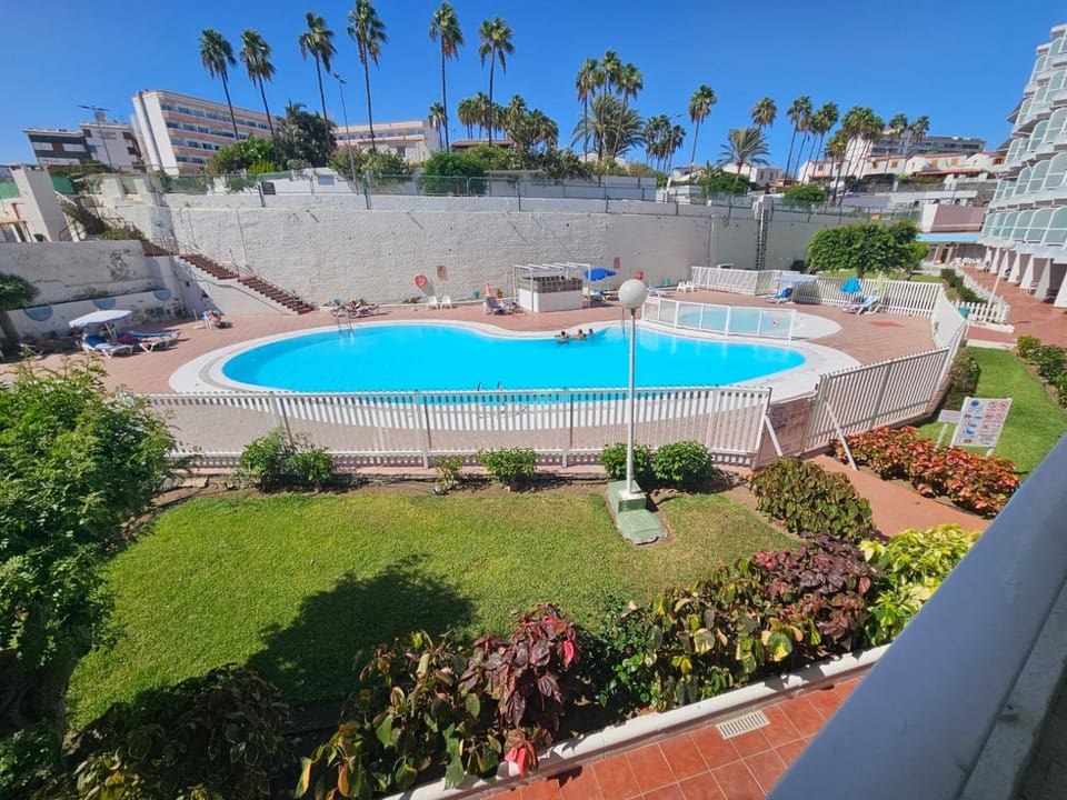 Garden, Garden view, Swimming pool