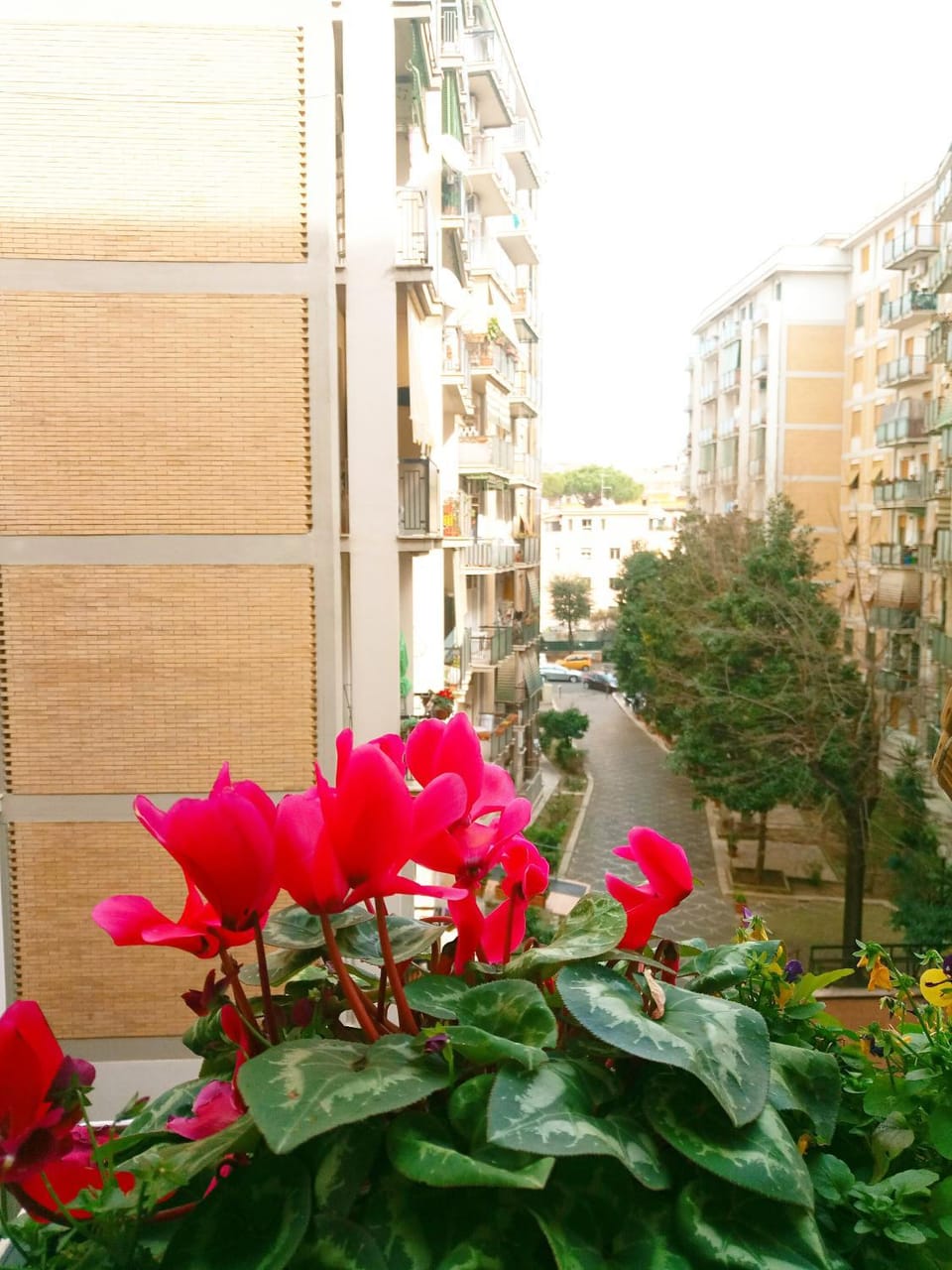 Property building, Day, View (from property/room), Balcony/Terrace, Floor plan, On site, Street view