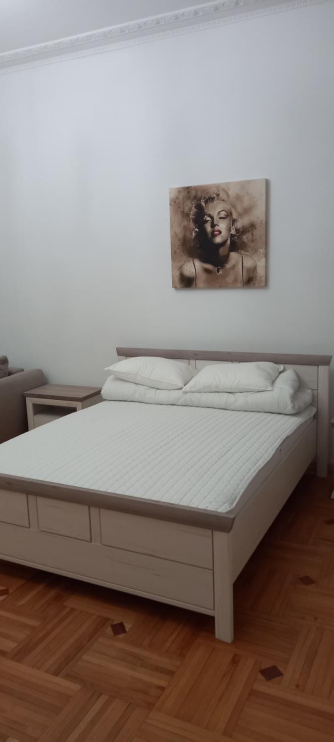 Двох рівневі апартаменти в центрі Apartment in Lviv