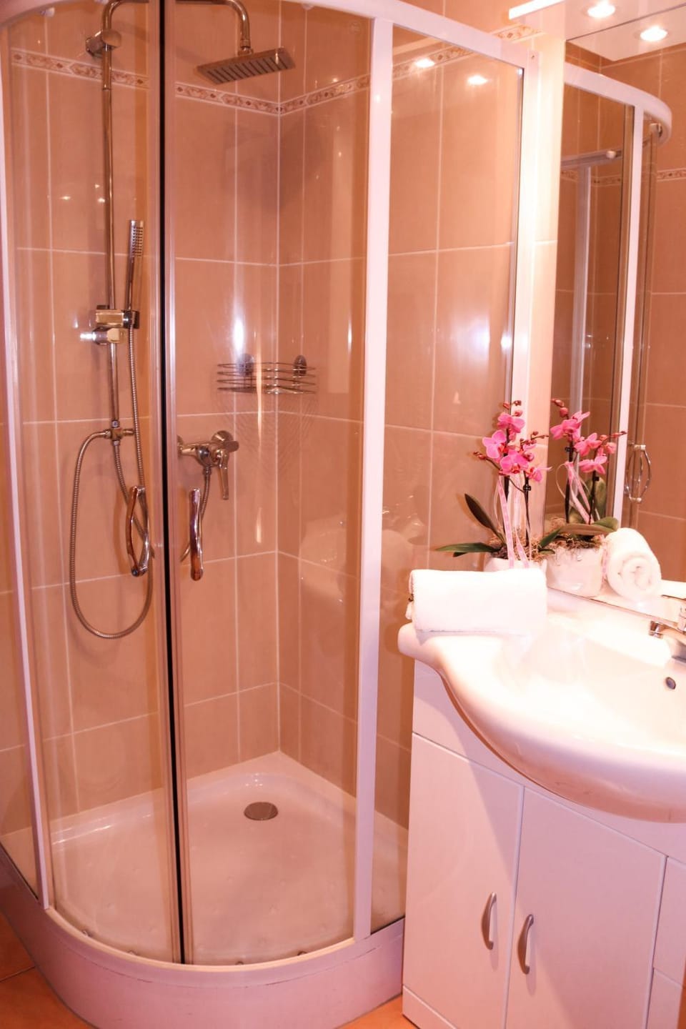 Shower, Toilet, Bathroom, Decorative detail