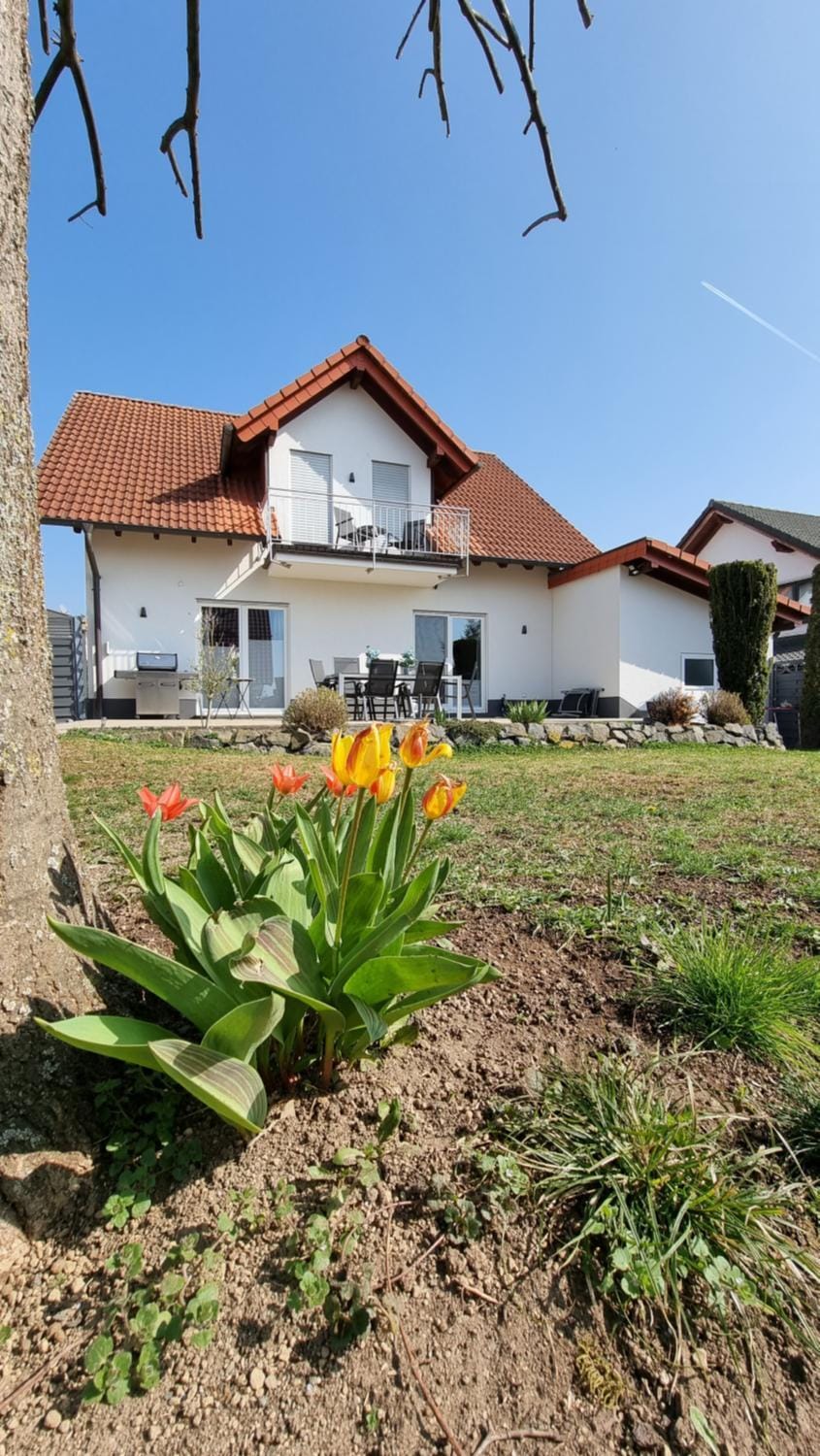 Garden, Garden view