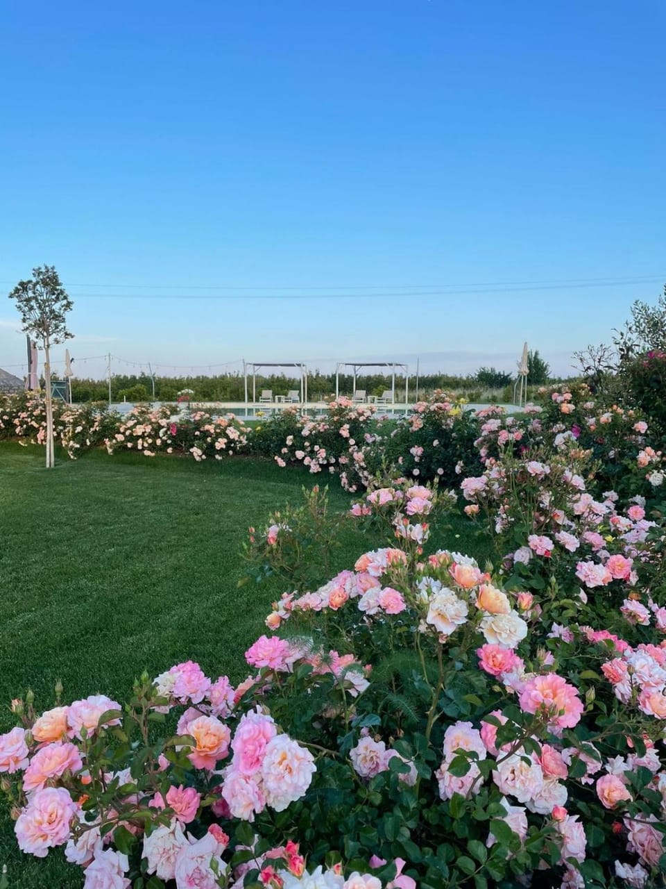 Alta Area Apartment hotel in Basilicata