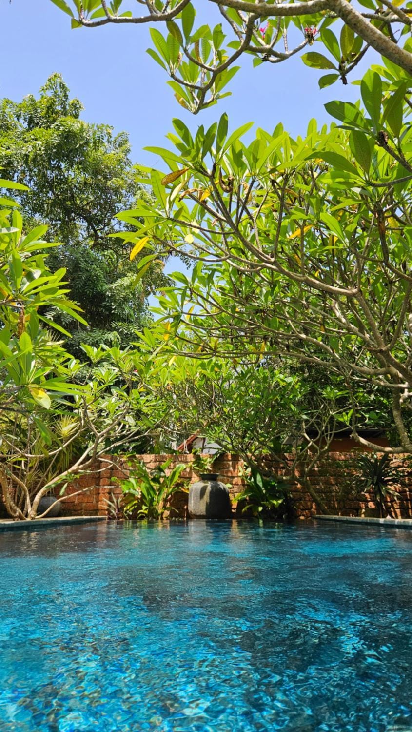 Swimming pool, Swimming pool