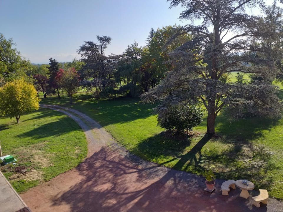 Garden view