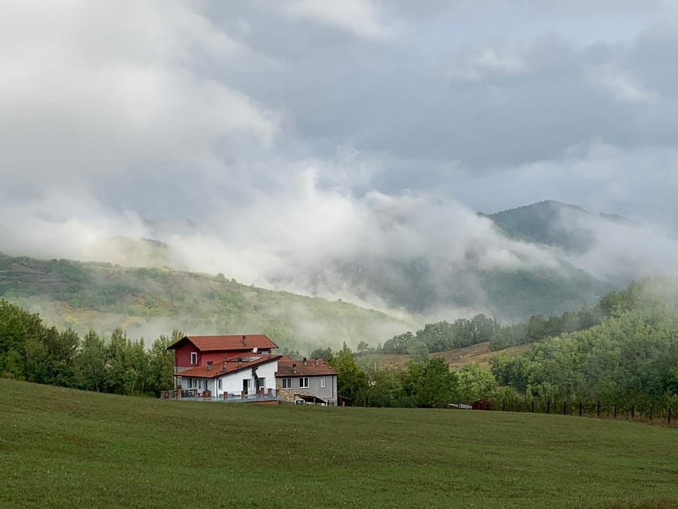 Spring, Natural landscape, Garden, Mountain view, Seasons