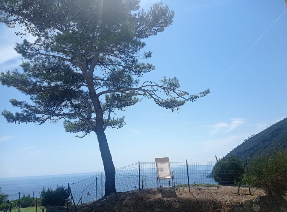 Natural landscape, Garden, Mountain view, Sea view