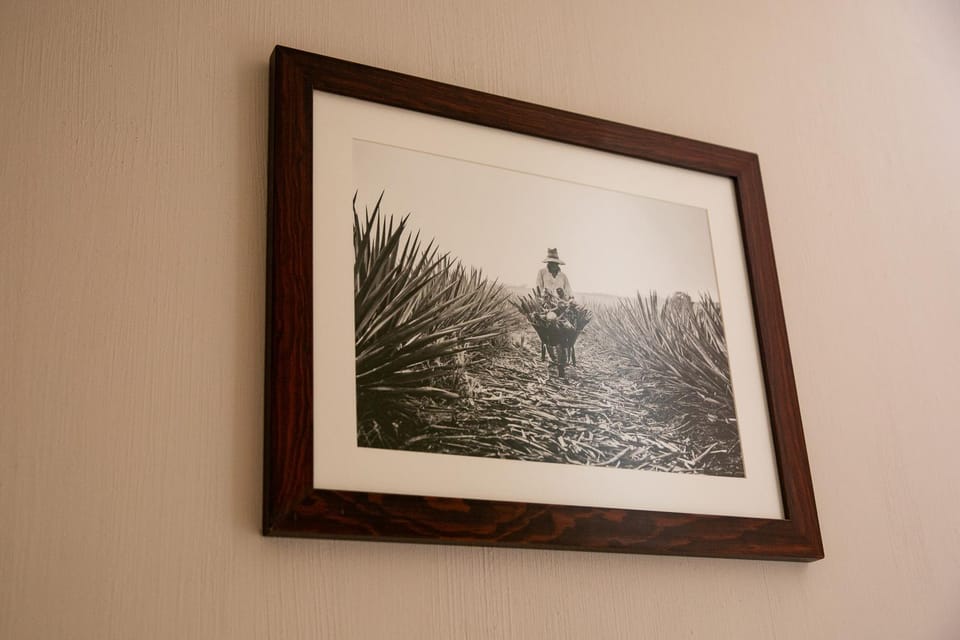Comoda Casa Privada House in Tequila