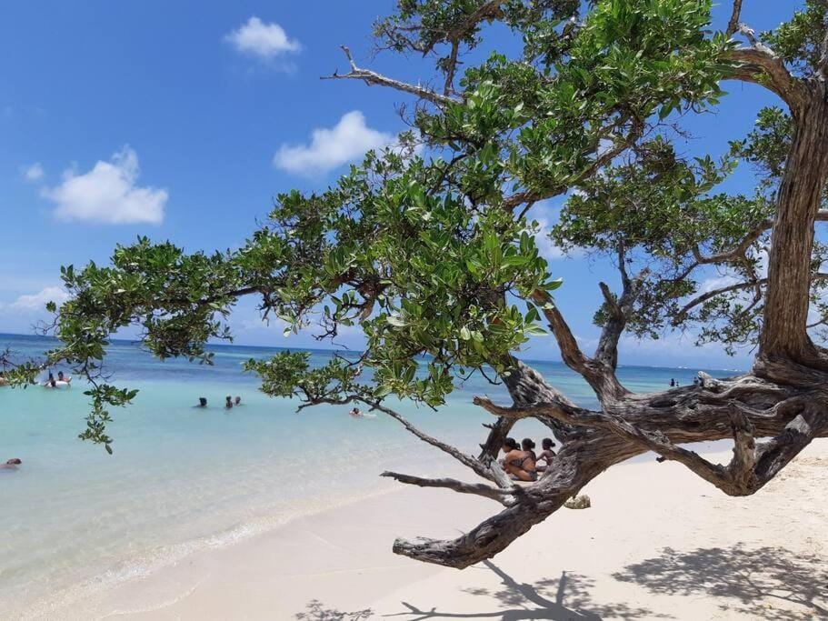 RARE : Bungalow bois avec piscine privée , Gîte ti plaisir House in Grande-Terre, Guadeloupe