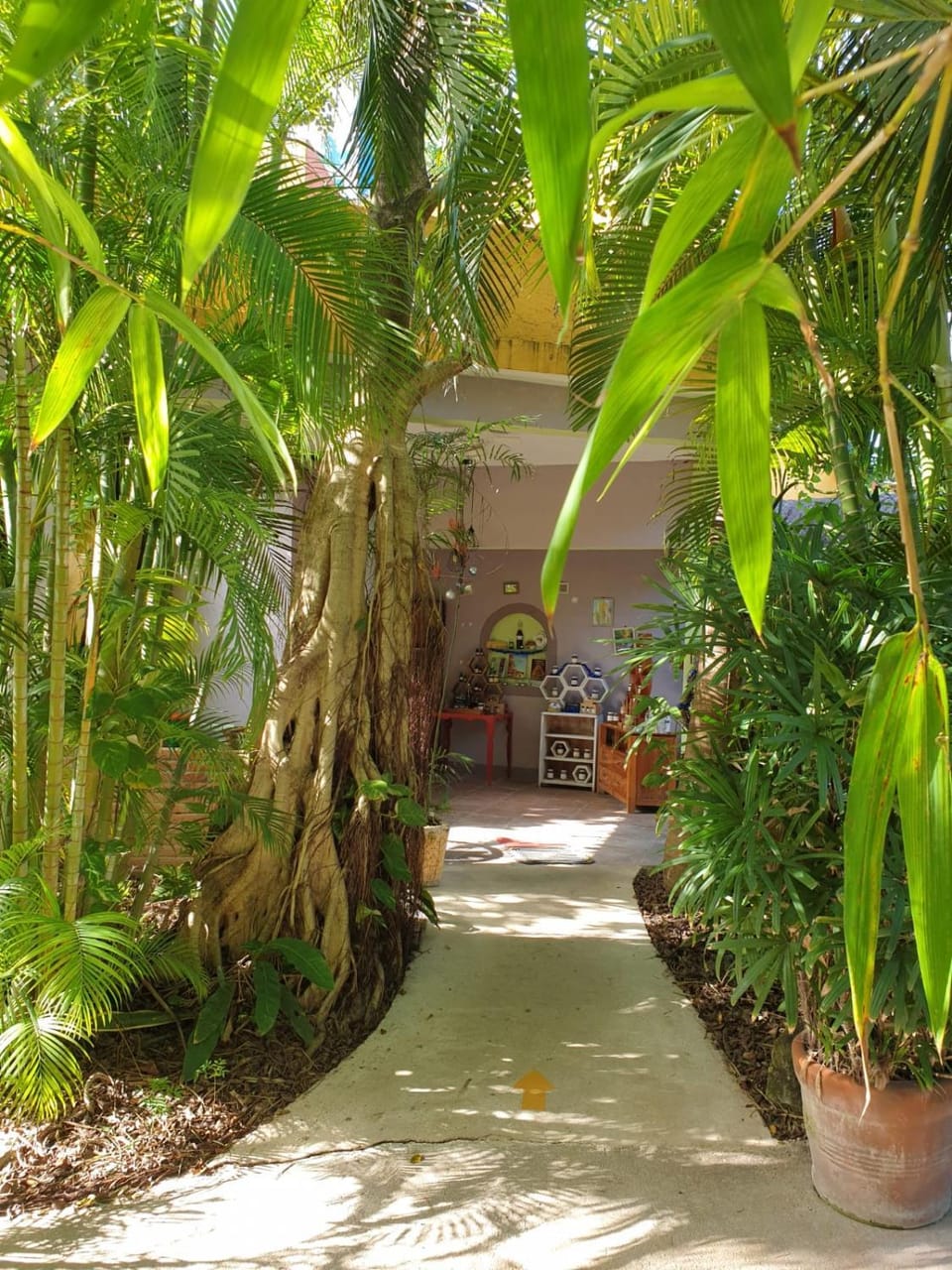 Natural landscape, Garden, Lobby or reception