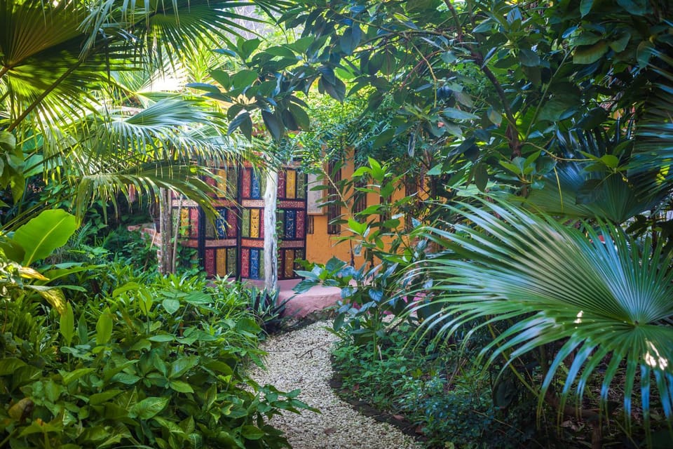 Communal kitchen, Garden view