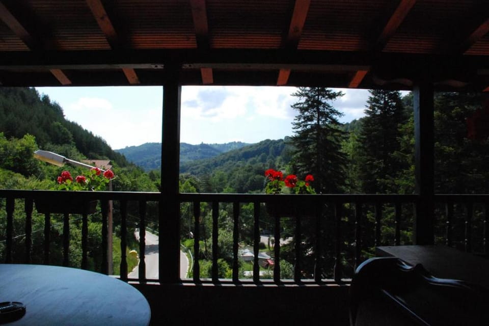 View (from property/room)
