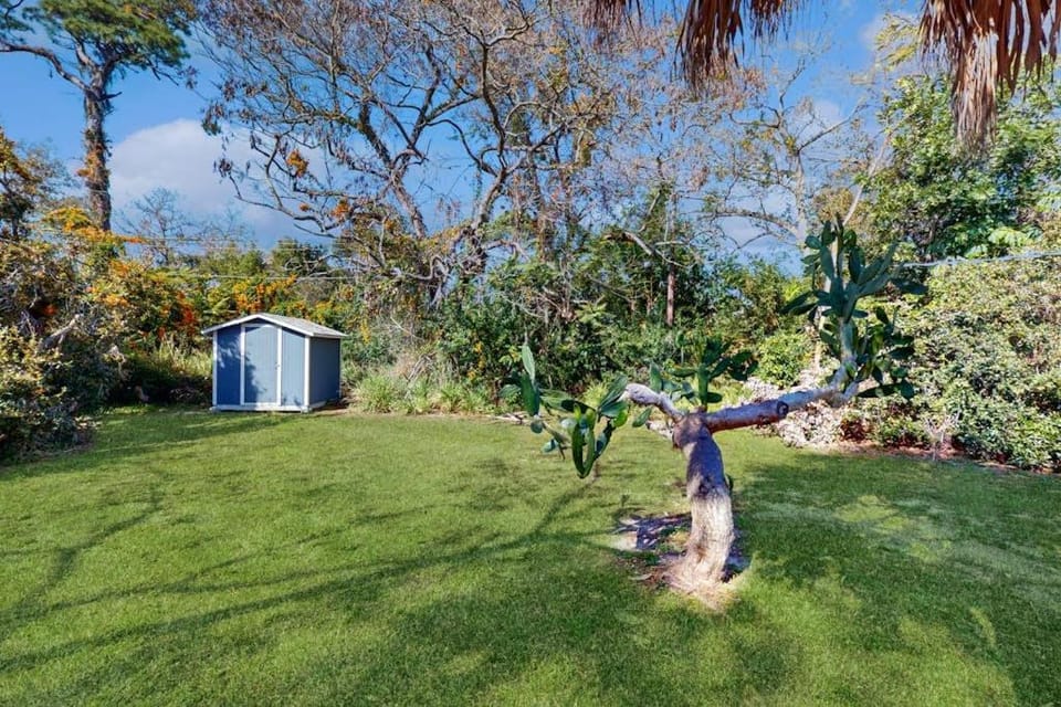 Alta Vista Respite House in Sarasota