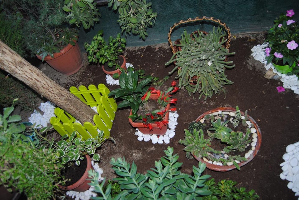 Joleski Accommodation Bed and Breakfast in Ohrid