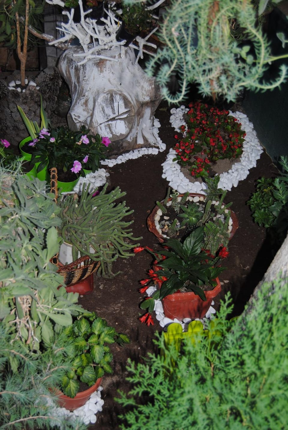 Joleski Accommodation Bed and Breakfast in Ohrid