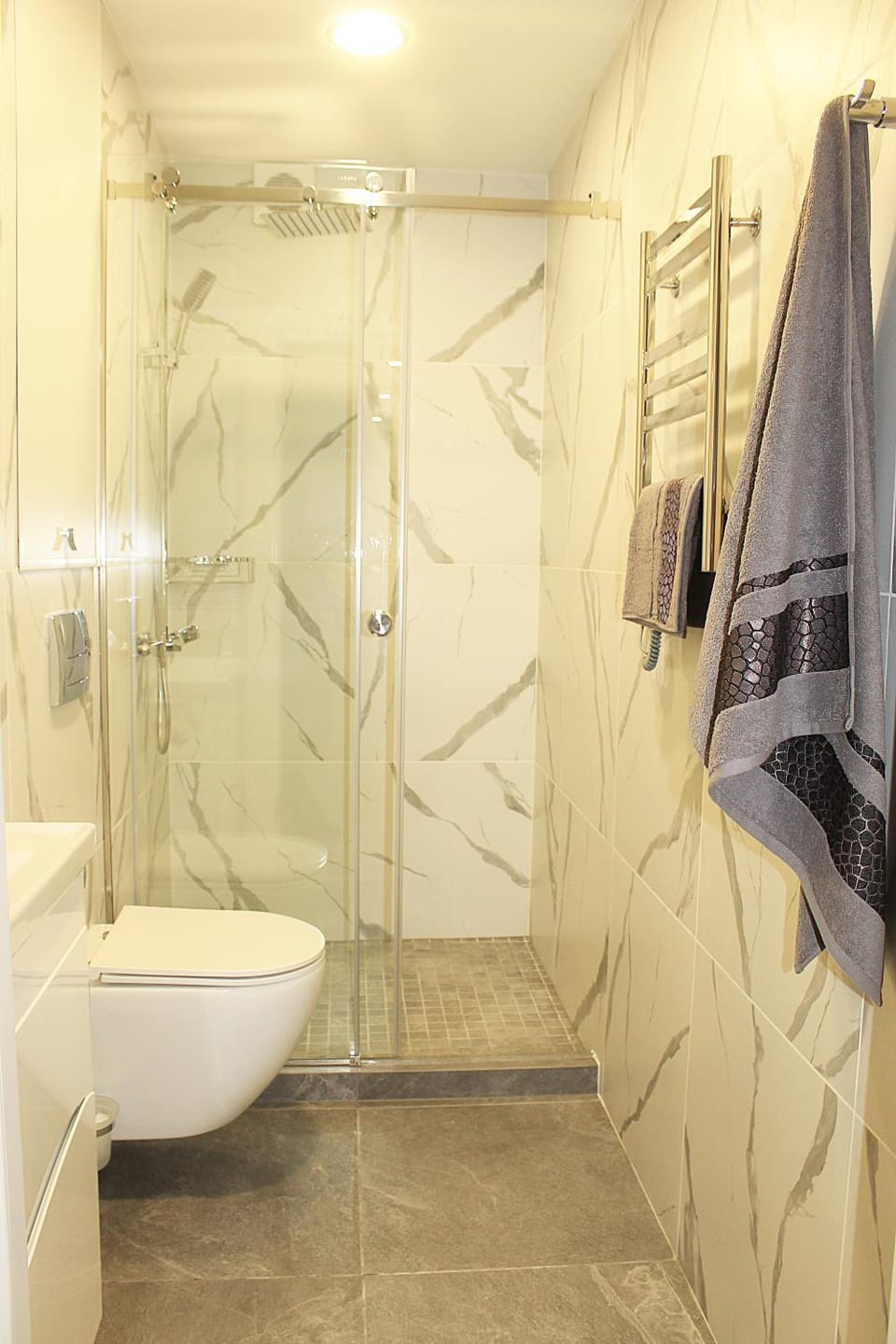 Shower, Toilet, towels
