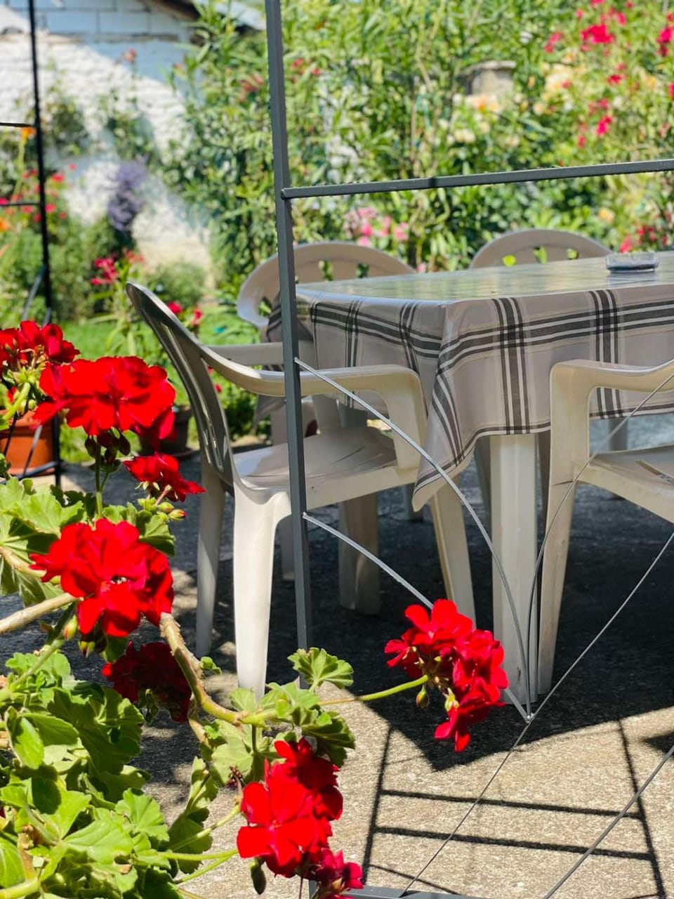 Patio, Day, Garden, Dining area, Garden view, Internal: Not applicable to any particular room