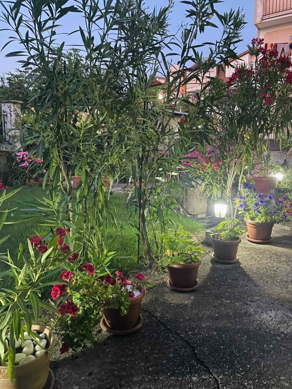 Spring, Garden, Garden view