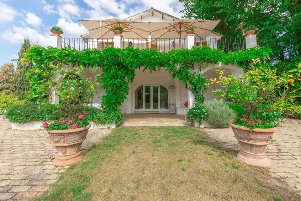 Property building, Patio, Spring, Day, Garden, Garden view, Landmark view