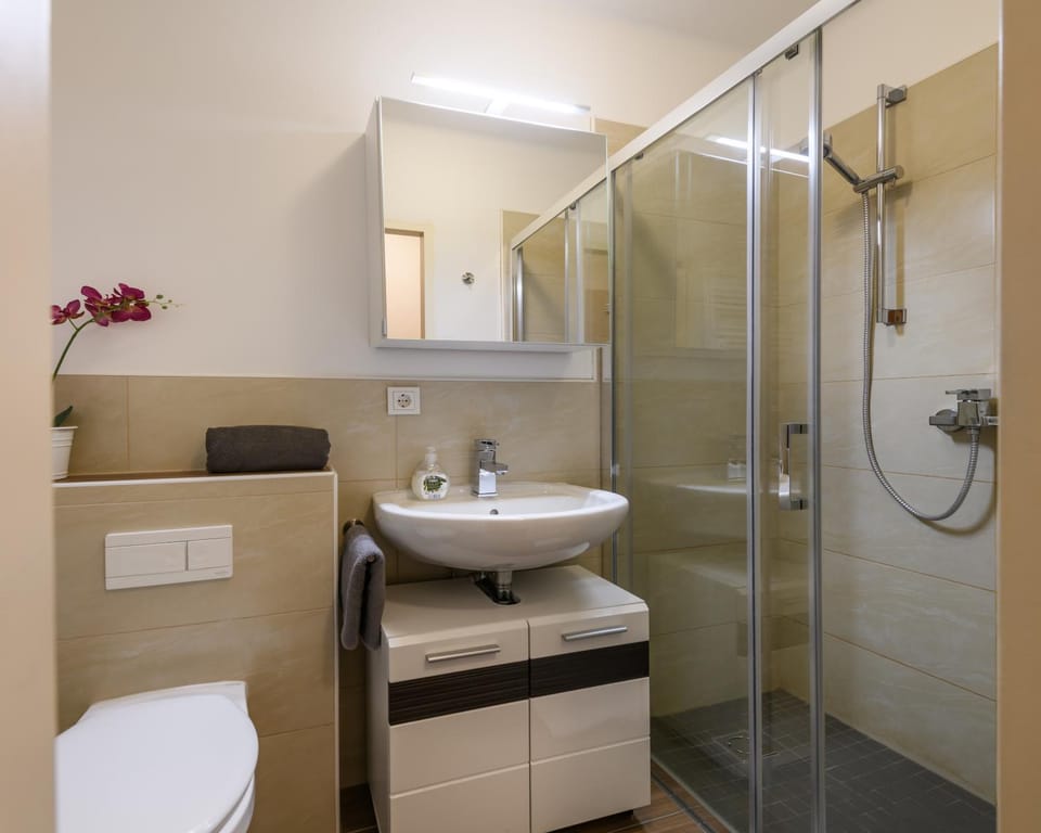 Shower, Toilet, Bathroom, towels