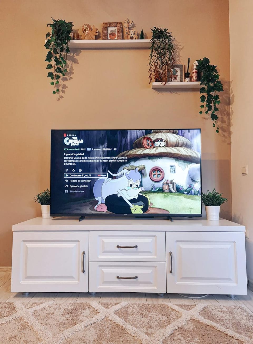 TV and multimedia