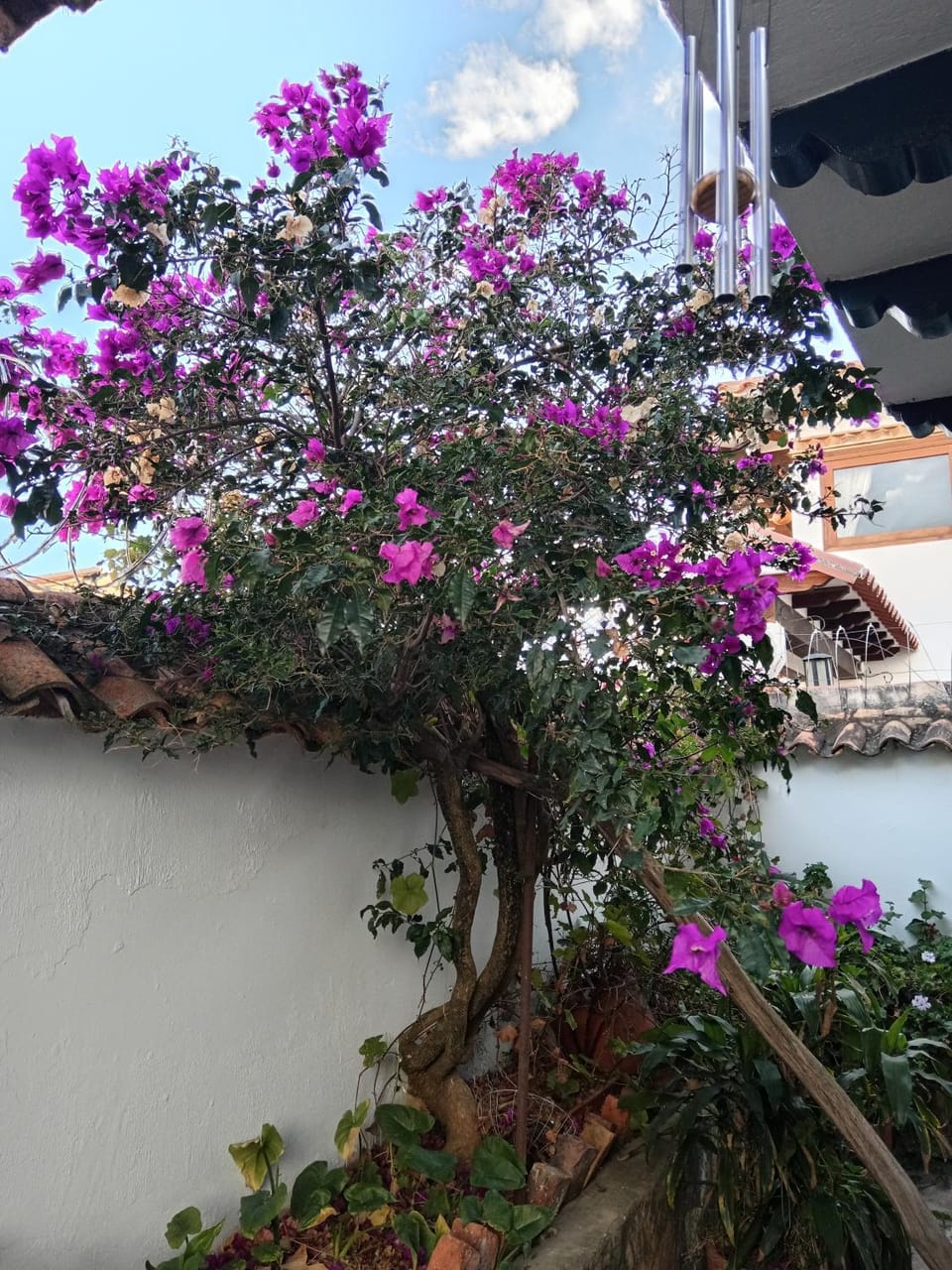 Villa Diana cerca a la Plaza Principal House in Villa de Leyva