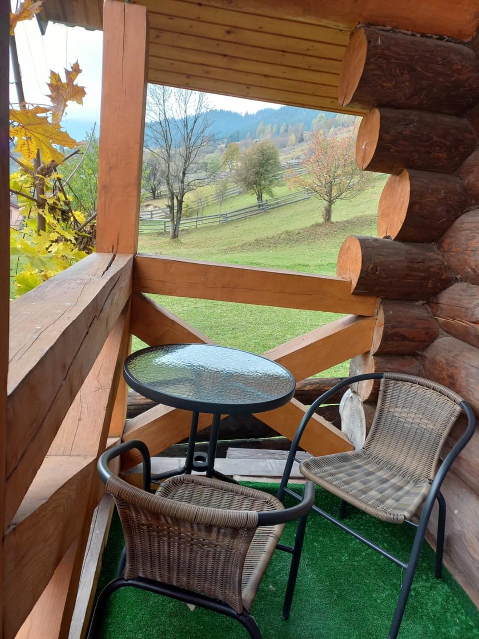Garden, Balcony/Terrace, Living room, Seating area, Garden view