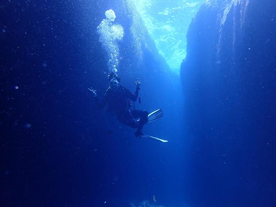 Activities, Diving
